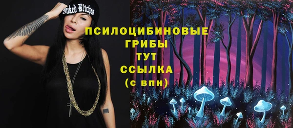 МДМА Белокуриха