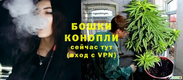 PSILOCYBIN Белоозёрский