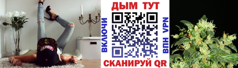 купить наркоту  Ясногорск  OMG маркетплейс  Бошки марихуана White Widow 